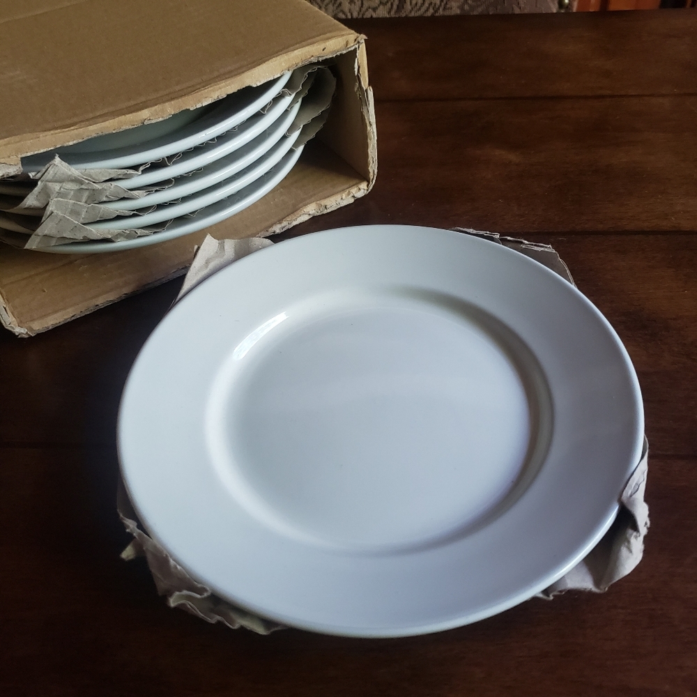 NEW Set of 6 China Plates